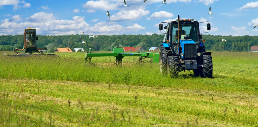 (Ελληνικά) Ολοκληρώθηκε η αρχική αξιολόγηση των αιτήσεων στη Βιολογική Γεωργία