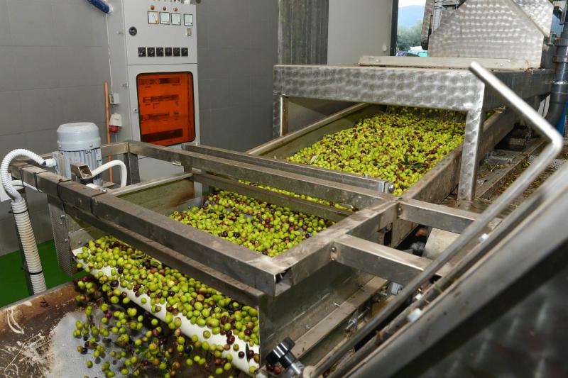 Υπουργείο Τουρισμού: Έρχονται τα επισκέψιμα Ελαιοτριβεία, Ζυθοποιεία και Τυροκομεία